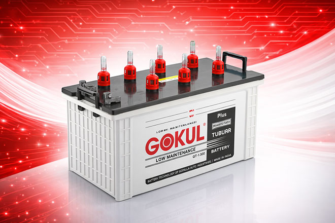 Gokul Inverter Tubular Battery